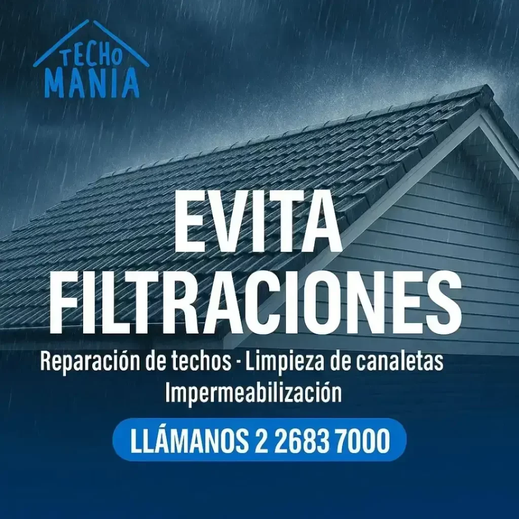 Reparación de Techos
