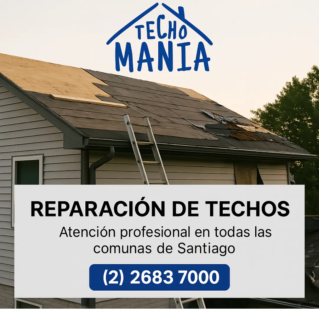 Canaletas obstruidas y rebalsadas por falta de limpieza en una casa de Santiago