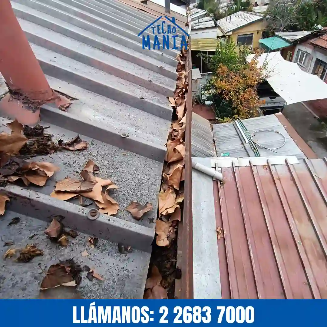 Limpieza profesional de canaletas obstruidas por hojas