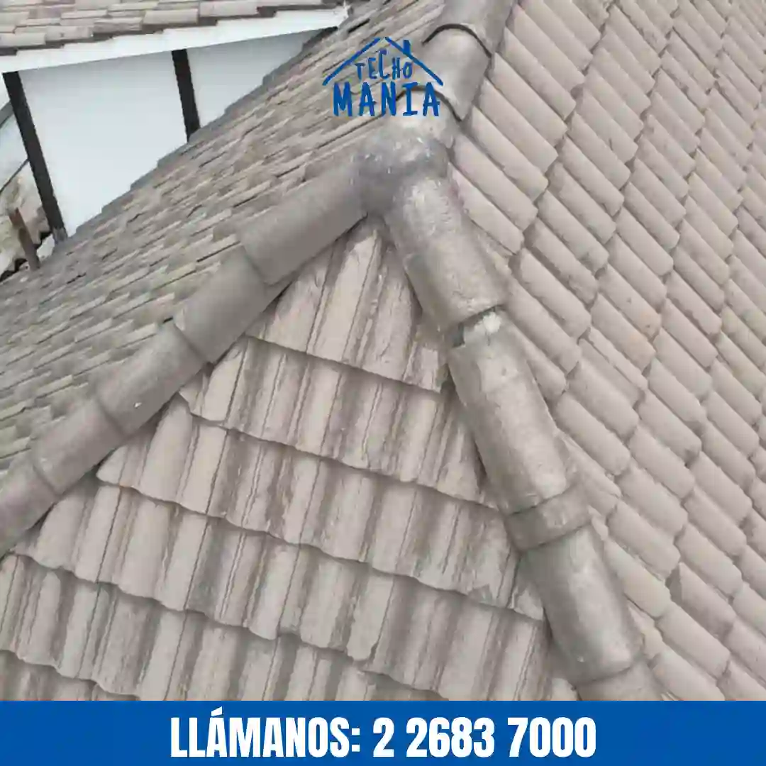 Techo con filtraciones y manchas de humedad en Santiago