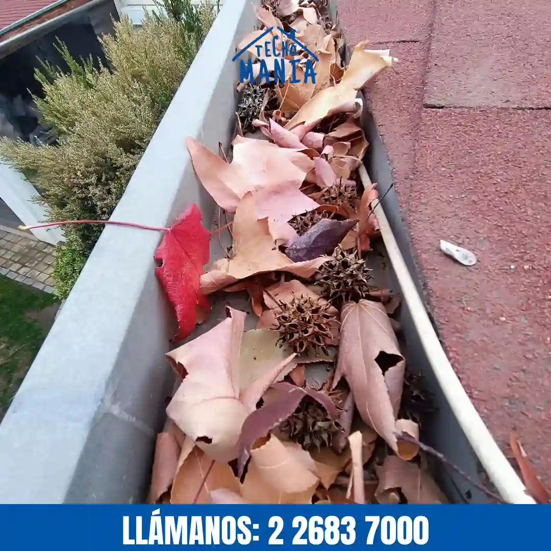 Equipo de Techomania realizando limpieza de canaletas rebalsadas en Santiago