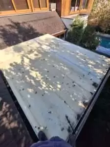 Reemplazo de techo de policarbonato y limpieza de canaleta 18 limpieza-de-techos