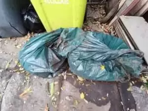 Sellado de cumbrera y limpieza de canaletas 12 sellos-en-cumbrera