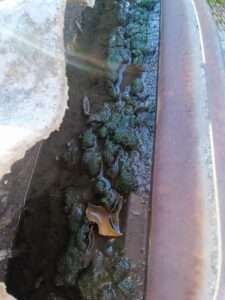 Limpieza de canaleta y techumbre 10 limpieza-de-techo-y-canaleta