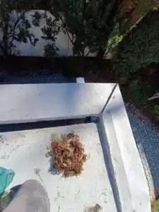 Sellos con poliuretano y limpieza de canaleta 7 limpieza-y-sellado-en-techumbre