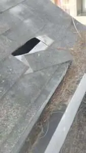 Limpieza de canaletas y arreglo de teja 4 Limpieza de canaletas y arreglo de teja