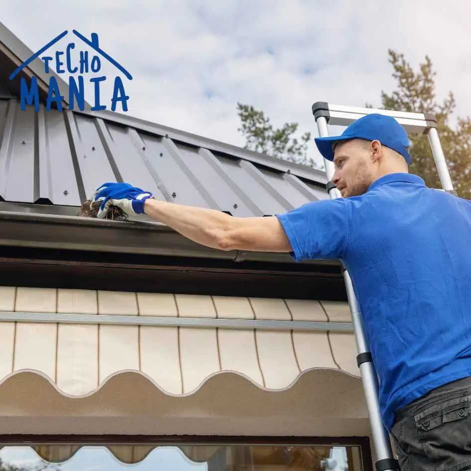 Limpieza de Canaletas