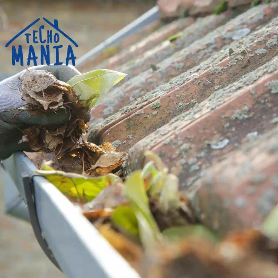 Limpieza de Canaletas santiago