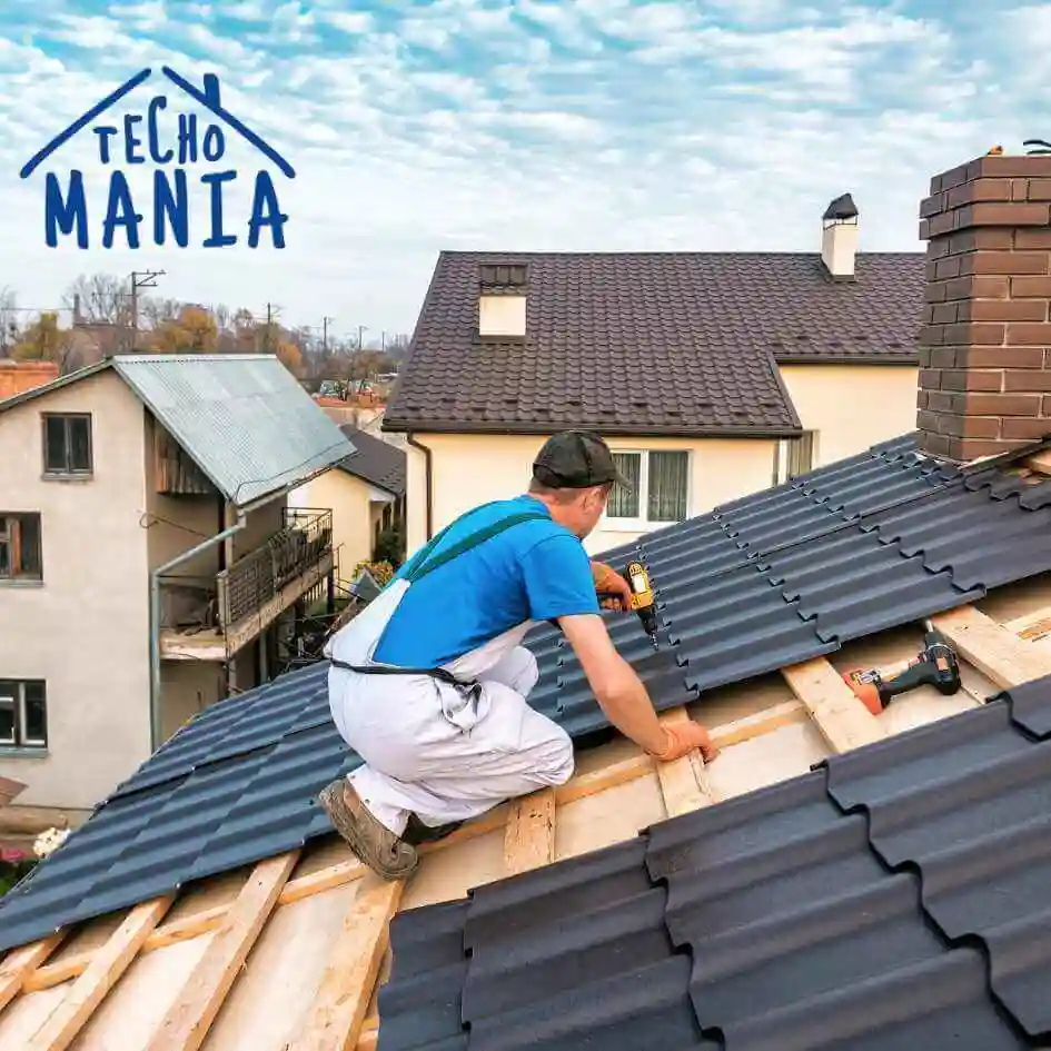 Reparación de Techos santiago